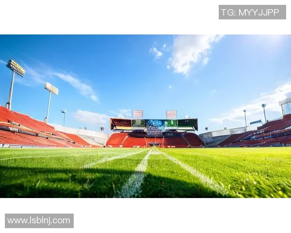 在绿茵场上追逐梦想与激情的足球随笔分享